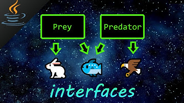 Java interface 🦅