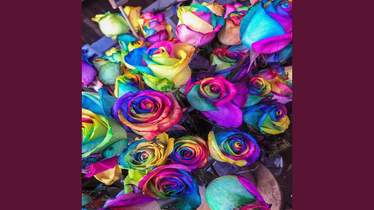 Guarda Colourful su YouTube Guarda Colourful su YouTube