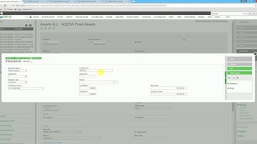 Part 11 Fixed assets options