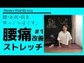 【腰痛改善ストレッチ】腰・お尻・肩まわりをほぐします！＃56