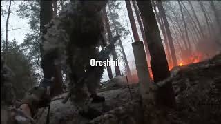 Russian Spetsnaz SSO In Kursk 2025