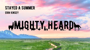 Erin Kinsey - Stayed A Summer