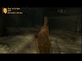Fallout New Vegas: Rapid Dogs