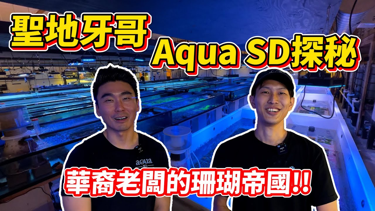 【藍箱水族】聖地牙哥華裔老闆的珊瑚帝國！Aqua SD專業繁殖場超震撼！ @AquaSD