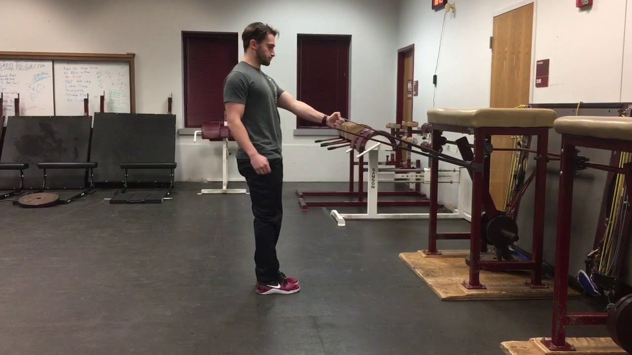 Rotational Lunge w/ Band Row YouTube