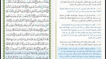 Surat Al Araf - 7 - القرآن الكريم بصوت محمود خليل الحصري - سورة الأعراف