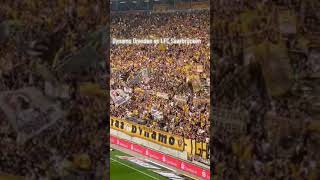 7. April 2024 - Dynamo Dresden gegen Saarbrücken (1:3) Das ganze Stadion hüpft 🖤💛