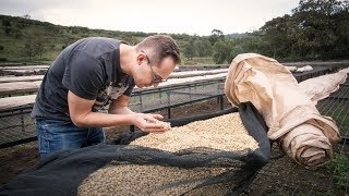 Washed Coffee Processing Explained in 90 Seconds  | ECT Weekly #062