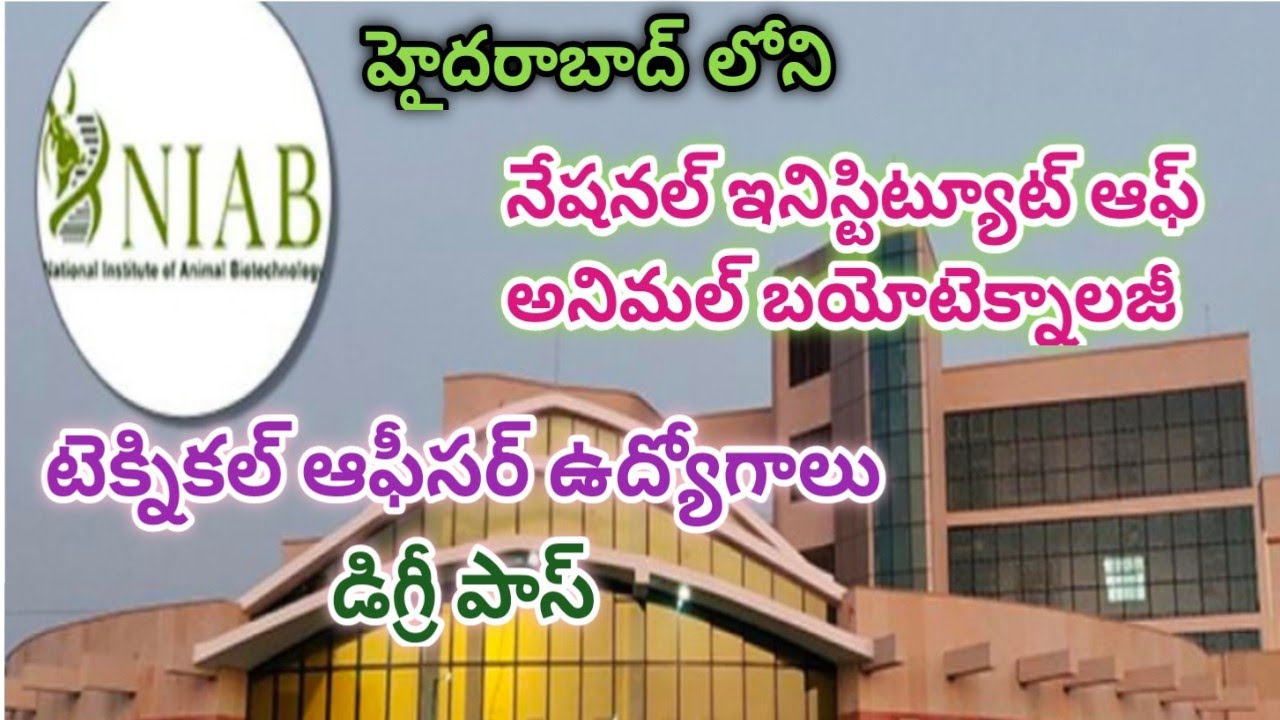 Technical Officers ,Farm Manager jobs in National Institute of Animal Biotechnology Hyderabad.