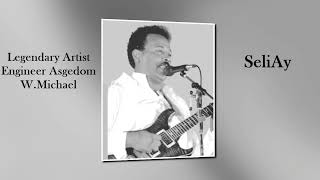 Eritrean Song By Engineer Asgedom W.Michael - SeliAy