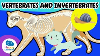 vertebrate invertebrate animals educational videos children