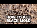 How to Kill Black Mold Safely & Forever