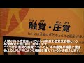 科学技術館巡回展示物「感覚・体感フィールド」紹介動画