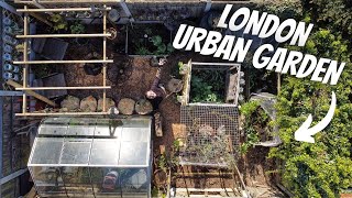 How we save money growing food in the city