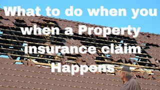 Insurance Help: Claim Reporting avoid Insurance Low Ball, Insurance Low Balling, Claim Denial (2020)