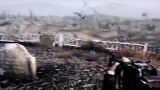 Fallout 3 The flying thing! bug
