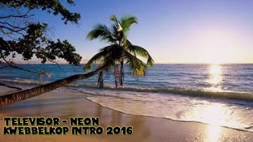 Televisor - Neon ( Kwebbelkop intro 2016)