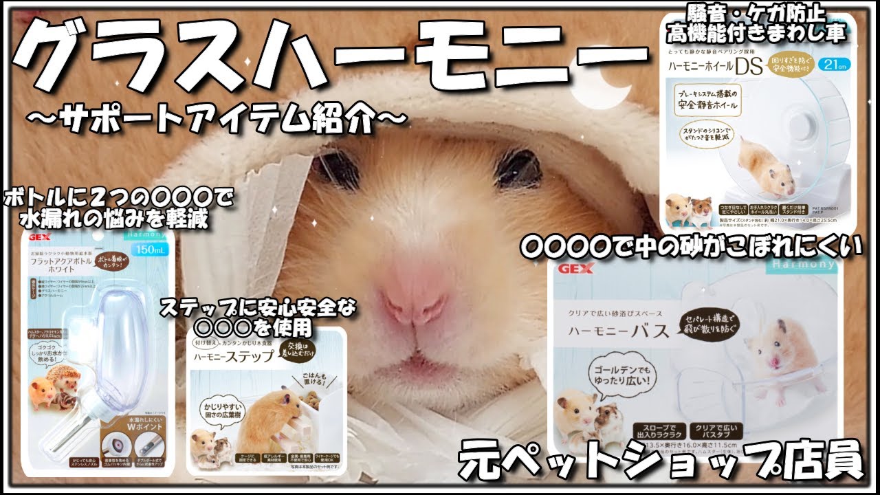 元ペットショップ店員】見ると得するグラスハーモニーサポートアイテム