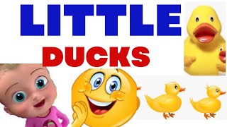 Five Little Ducks Nursery Rhymes For Children Primary Music Lesson