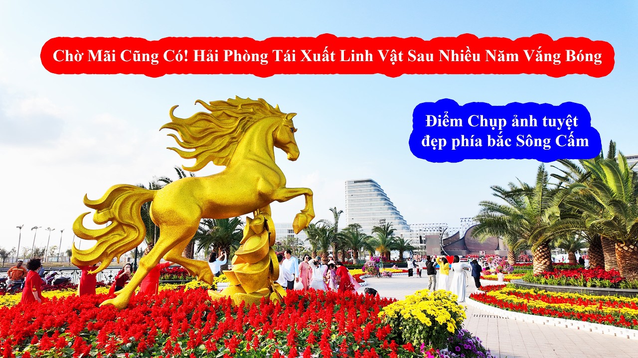 Hải Phòng Lần Đầu Làm Linh Vật Sau Hơn 10 Năm – Người Dân Đổ Xô Check-in!