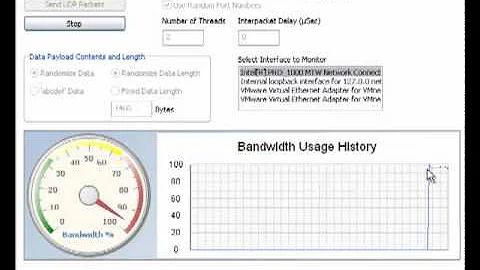 Packet Flooder (a UDP Traffic Generator)
