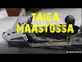 TAIGA MAASTOSSA