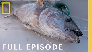 Bluefin Season: The Battle for the First Fish (Full Episode) | Wicked Tuna