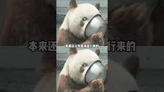 食貧道開著理想L9來到波黑,這個全民愛李小龍的國家 #食貧道開理想L9穿越巴爾干#第一座李小龍雕像在波黑1
