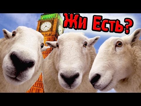 Видео: Барашки Едут Жить в Лондон! (Home Sheep Home) №2