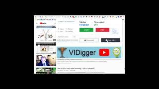 VIDigger- The Most Advanced Targeting Tools Available For YouTube Video Ads