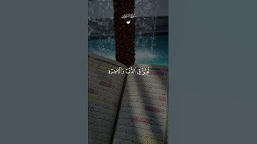 تلاوة خاشعة 🤍🥹القارئ ماهر المعيقلي أيات من سورة النور 🤍🌿 #quran #اكسبلور #المصحف #القرآن