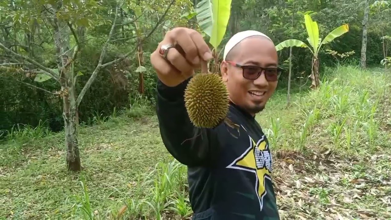 PERJALANAN MENUJU HUTAN DURIAN DAN PROSPEK DURIAN KEDEPANNYA DI WILAYAH PASREPAN