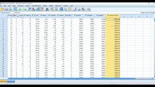 SPSS Tutorial 04