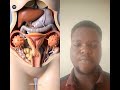 Understanding the Menstrual Cycle | Menstrual, Ovulation & Hormones in 3D