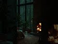 Heavy Rain Sounds for Sleep 🌧️