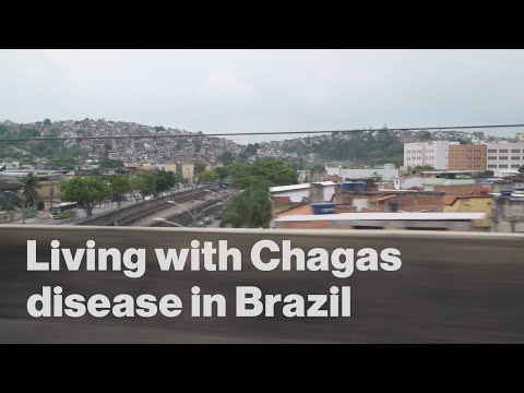 Living with Chagas Disease in Brazil