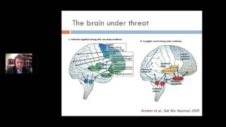 Narrative Exposure Therapy - Frank Neuner