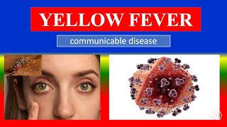 YELLOW FEVER - Definition, types, causes, pathophysiology, signs & symptoms, medicine screenshot 4