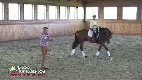 Dressage With Dr. Ulf Moller - Stretching For The Four Year Old