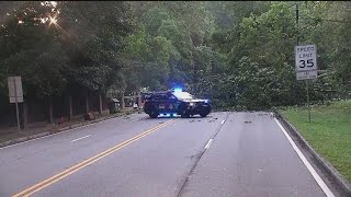 Ponce de Leon Avenue shut down in Atlanta morning due to downed tree; other traffic impact