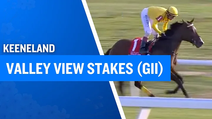 2025 $400,000 Valley View Stakes (G2) at Keeneland