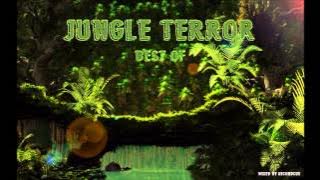 Wiwek Megamix (Best of Jungle Terror mix 2015)