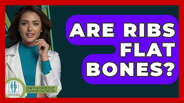 Are Ribs Flat Bones? - Orthopedic Support Network