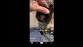 1742032180Screen Recording 20250315 094702 TikTok