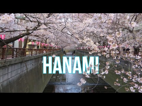 Wideo: Jak Nauczyłem Się Kochać Hanami, Japońską Sztukę Obserwacji Kwiatów