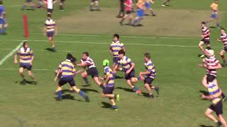 Cranbrook 16A Highlights 2021