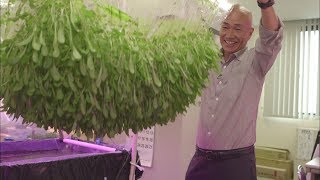 Pellicules Japonaises Miracles Pour Production Daliments