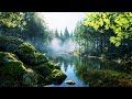 Calm Tropical River Beneath the Rainforest | Soothing Water Sounds for Sleep