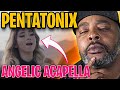 First reaction to heavenly voices of pentatonix hallelujah