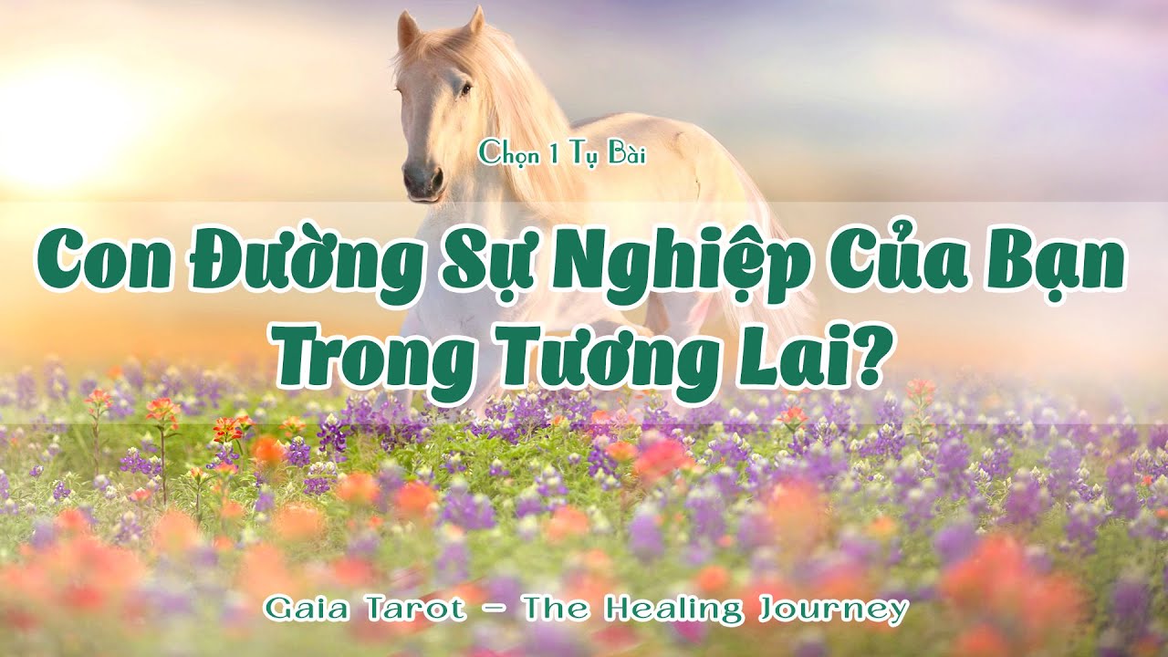 Con Đường Sự Nghiệp Của Bạn Trong Tương Lai?
